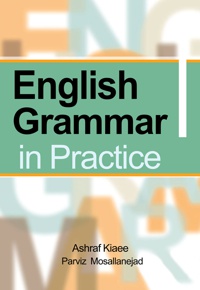 English grammar in practice